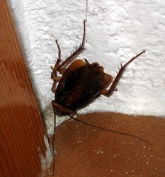 img_1382.jpg