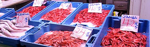 img_1519.jpg
